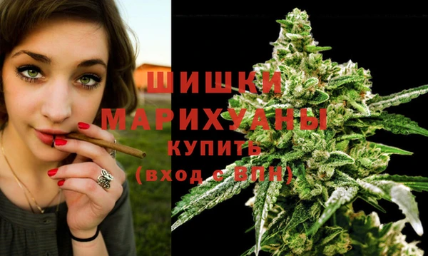 ALPHA-PVP Гусев