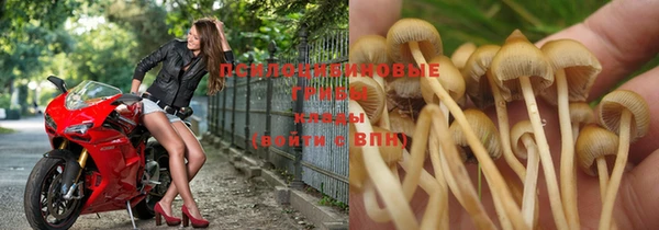 дурь Вяземский